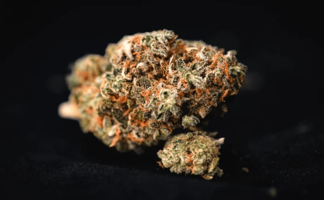 Premium Nala Pharms cannabis flower